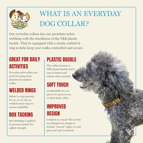 Country Brook Petz - Everyday Nylon Dog Collar for Large, Medium, and Small Dogs and Puppies - for Everyday Use in 30+ Colors (3XS, 3/8 Inch Wide, Coyote Tan)