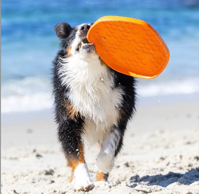 PROJECT HIVE ·PET COMPANY· Dog disc - Great for Fetch - Includes a Lick mat on Back - Floats in Water, Smooth Glide - Made in The USA (Sweet Mango)