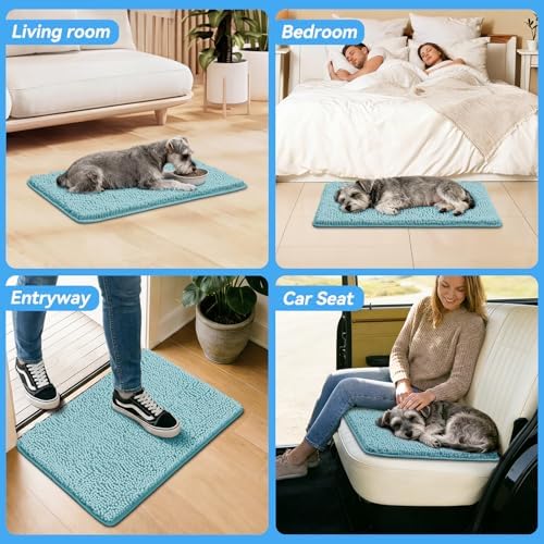 Bcoimo Super Absorbent Dog Door Mat, 30"*20" Anti Slip Mat for