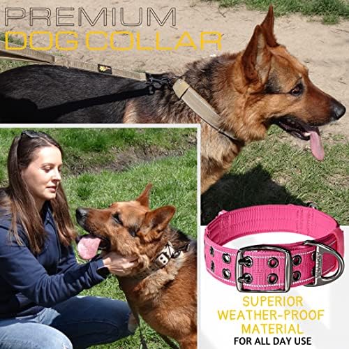 ADITYNA Heavy Duty Dog Collar for Extra-Large Dogs with Traffic Handle
