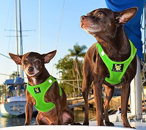 EcoBark Step in Dog Harness - Eco-Friendly Toy Breed Dog Harness for XS, Small and Medium Dogs - Reflective and Adjustable Body Halter Vest -Tiny Soft Mesh Chest Collar (Green, Medium)