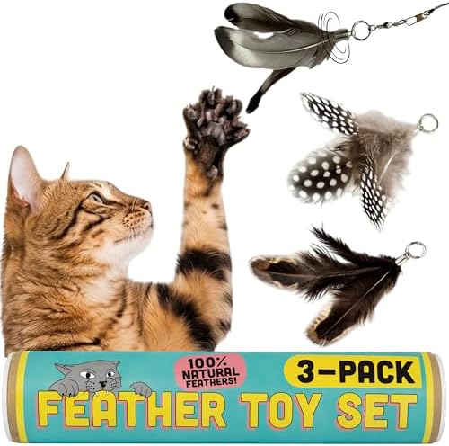 Cat Feather Toy Refill 3-Pack, Natural Feather Cat Toys for Kittens & Bored Indoor Cats, Small Cat Wand Attachments, Feather Replacement for Forever Stick Cat Wand, Cat Wand Refill
