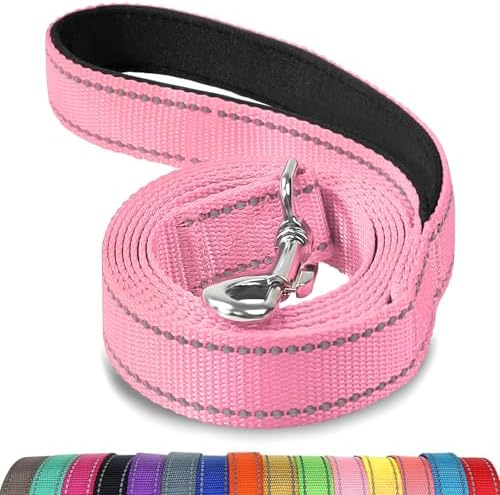 Joytale Reflective Dog Leash for Medium & Large Dogs, 4 FT x 1", Pink