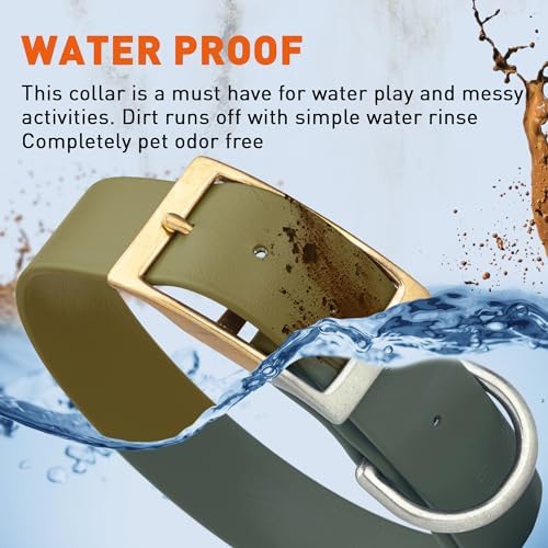 Viper Biothane Heavy Duty Waterproof Dog Collar Strong Coated Nylon Webbing w/Solid Brass Hardware Odor-Proof Easy to Clean High Performance Fits Small Medium or Large Dogs, Olive Drab Green