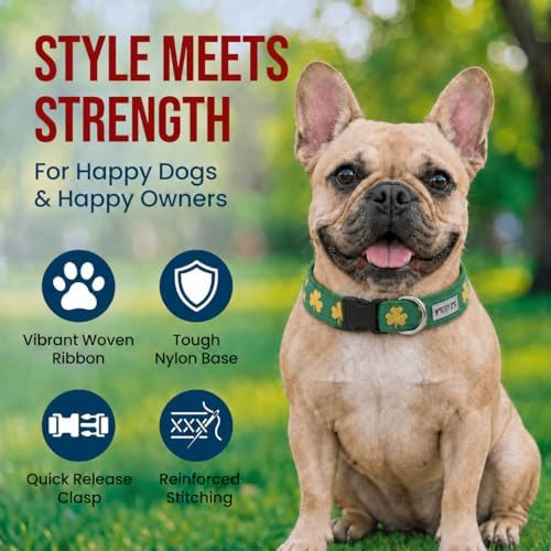 THE WORTHY DOG Summer Print, Adjustable Dog Collar,Medium Dogs, Good Luck