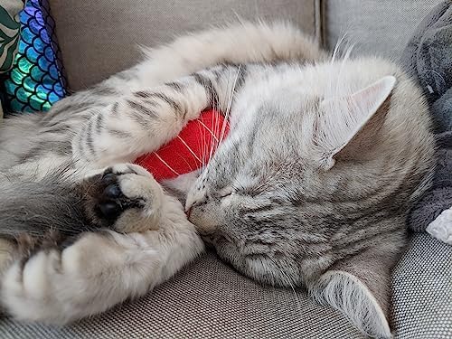 munchiecat Premium Organic Catnip Sushi Toy (1-pc) for Cats, Kittens - USA Made Durable Design for Pouncing, Batting and Play