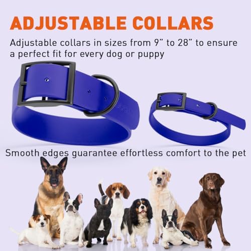 Dogline Biothane Waterproof Dog Collar Strong Coated Nylon Webbing with Black Hardware Odor- Proof for Easy Care Easy to Clean High Performance Fits Small Medium or Large Dogs, Blueberry Royal