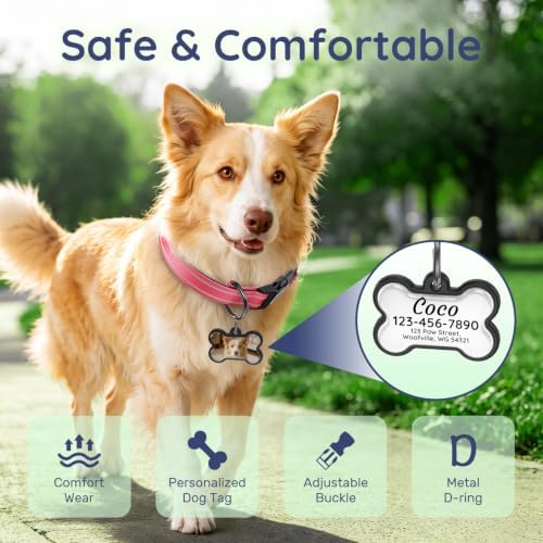 Personalized Dog Collar and Dog Tag Set,Comfortable for Small Medium Dogs