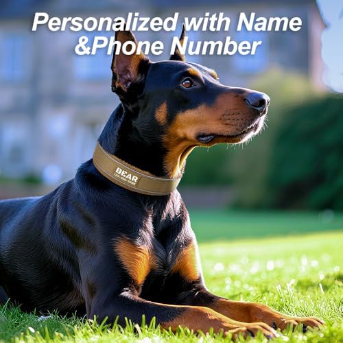 Personalized Dog Collars with Name and Phone Number, Durable Metal Buckle, Soft Neoprene Padded Reflective Nylon Collar for Large Medium and Small Dogs (Premium Version)