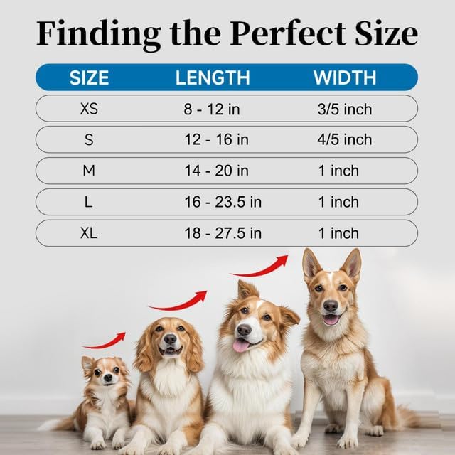 Personalized Dog Collars, Custom Reflective Embroidered Dog Collar with Name and Phone Numbers, Soft Nylon Adjustable, for XS, XL, Small, Medium, Large Dogs
