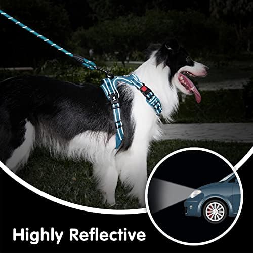 PoyPet Dog Harness and Leash Set, No Pull Vest with Front Clip and Handle