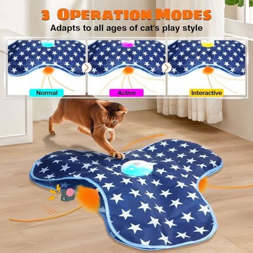 Oxawo Cat Toys Interactive Hide and Seek Cat Game