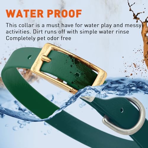 Viper Biothane Heavy Duty Waterproof Dog Collar Strong Coated Nylon Webbing w/Solid Brass Hardware Odor-Proof Easy to Clean High Performance Fits Small Medium or Large Dogs, Hunter Green