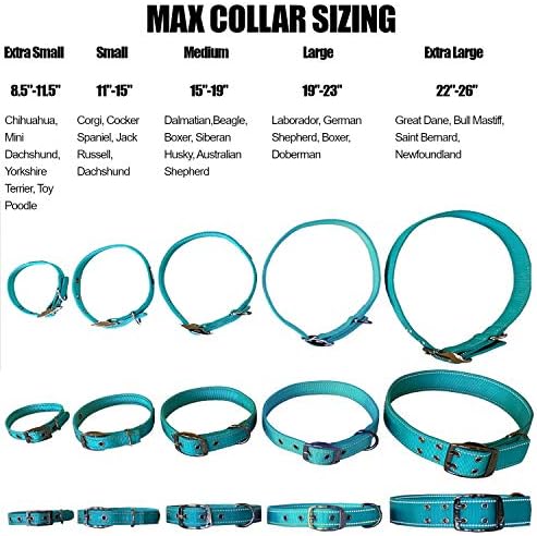 Max and Neo MAX Reflective Metal Buckle Dog Collar - We Donate a Collar to a Dog Rescue for Every Collar Sold (X-Small, Orange)