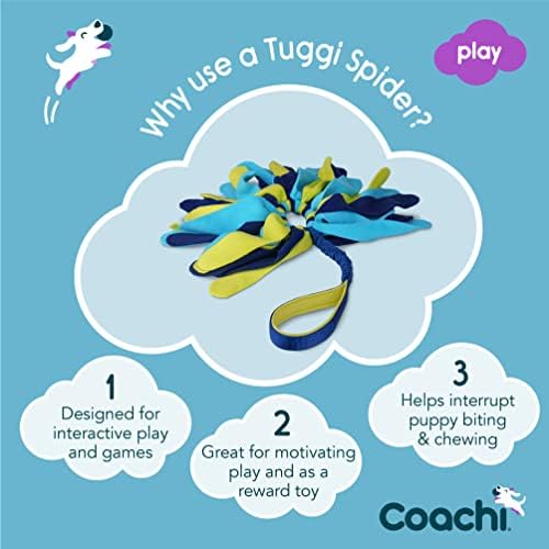 Coachi Tuggi Spider - Interactive Dog Toy for Tug of War & Play