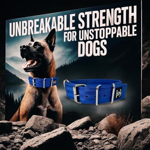 SparkDog 2” Working Dog Collar – Heavy Duty