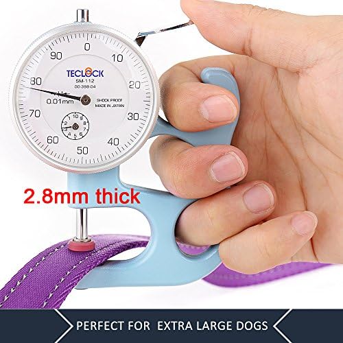 Plutus Pet Double Handle Dog Leash, 4 FT Long, for Medium Large Dogs
