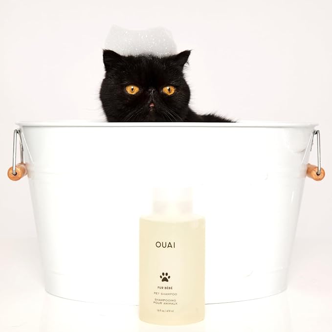 OUAI Fur Bébé Pet Shampoo - Cat & Dog Shampoo for Gentle Cleansing, Hydration & Shine - Vegan & Cruelty-Free Pet Supplies with Aloe Vera & Panthenol - Mercer Street Scent (16 Fl oz)
