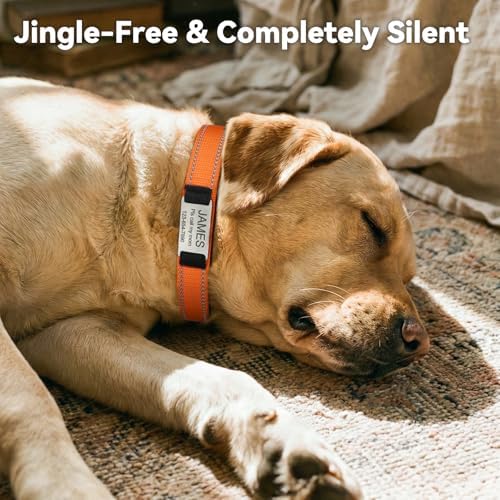 Joytale Personalized Dog Collar with Name Plate Built-in for Large Dogs