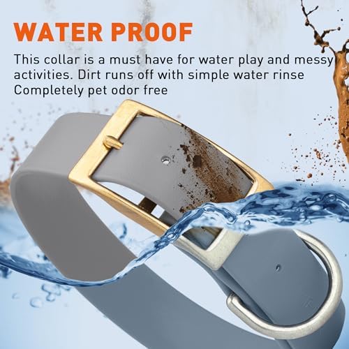 Viper Biothane Heavy Duty Waterproof Dog Collar Strong Coated Nylon Webbing w/Solid Brass Hardware Odor-Proof Easy to Clean High Performance Fits Small Medium or Large Dogs, Battleship Gray