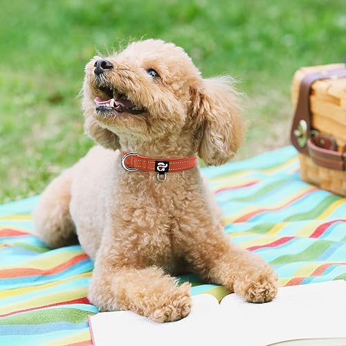 azuza Reflective Dog Collar, Neoprene Padded Puppy Collar, Rust Red, XS