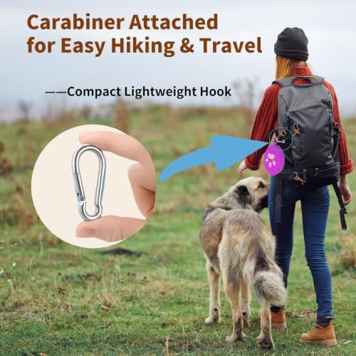 2-in-1 Collapsible Dog Travel Bowl Portable Silicone Carabiner