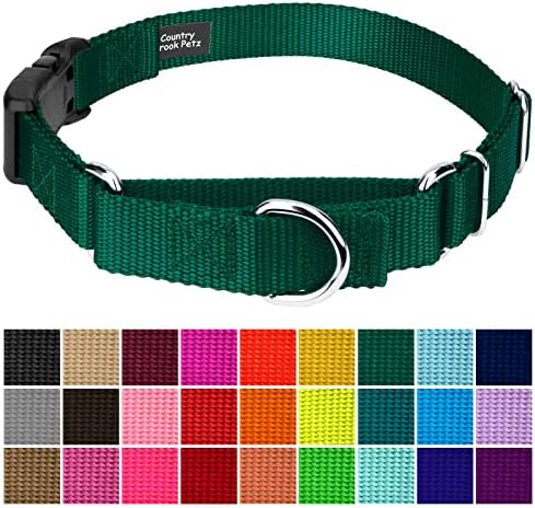 Martingale Dog Collar - Heavy Duty Nylon Adjustable Martingale Dog Collar with Plastic Buckle for Small Medium Large Breeds - 30+ Colors (1 Inch, Large, Green)