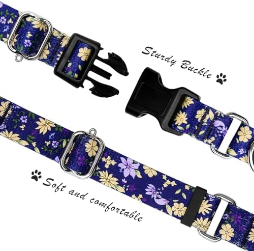 Hikiko Martingale Collar for Dogs with Special Pattern,Adjustable,M