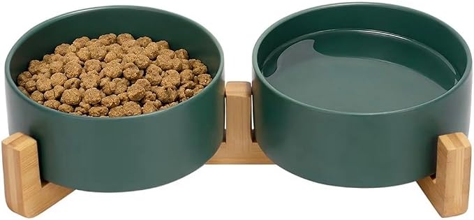 Ceramic Cat and Small Dog Bowl Set – Modern Indoor Small Size Pet Food and Water Bowls with Wood Stand – Non Slip Puppy Sized Feeding Station with Double Dishes (Green)