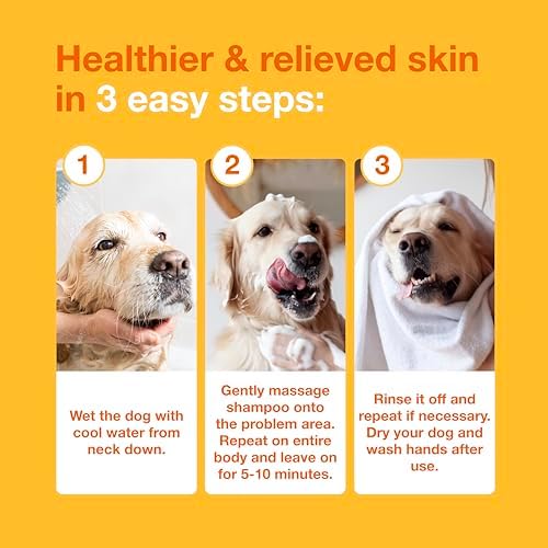Douxo S3 PYO Medicated Dog Shampoo with 3% Chlorhexidine for Dogs – Antibacterial & Antiseptic Yeast Infection Treatment for Dogs & Cats, Clinically Proven, 6.7 oz (Pack of 12)