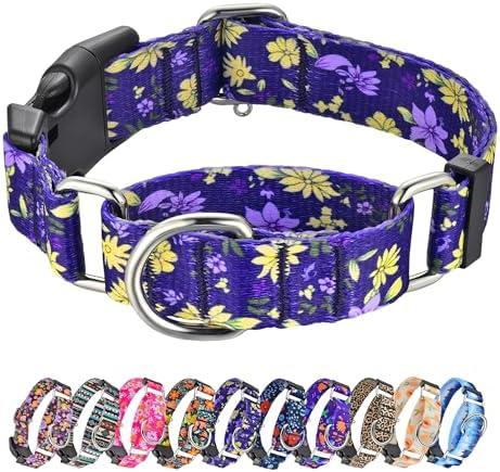 Hikiko Martingale Collar for Dogs with Special Pattern,Adjustable,S