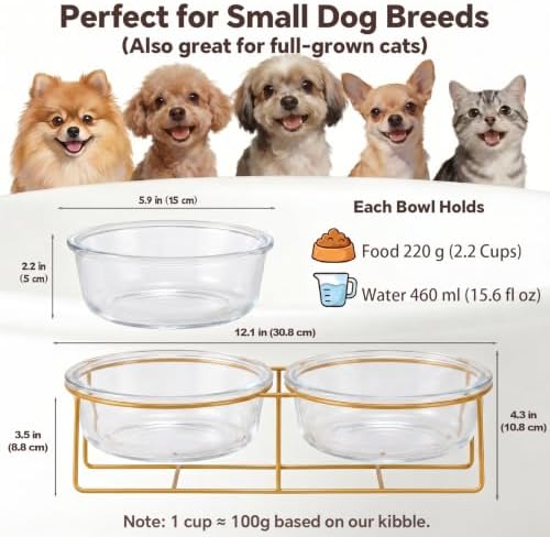 Elevated Dog Bowls for Small Dogs - 2 Glass Bowls with Gold Iron Stand - Raised Pet Dish Set for Food and Water - Comfortable Feeding