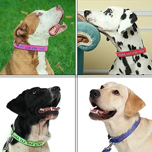 Personalized Dog Collar, Custom Embroidered with Pet Name and Phone Number