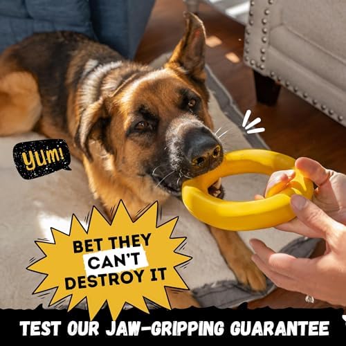 Indestructible Dog Chew Toy - Lifetime Replacement - Durable Toy for Aggressive Chewers - Safe Non-Toxic Natural Rubber - Chew, Tug & Fetch - Tough, Heavy Duty - Med/Large Breed, 6.5”x1.25”