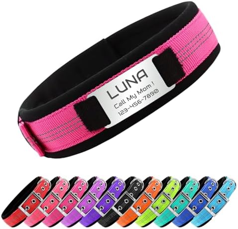 Reflective Personalized Dog Collar with Name Tag，Rose：M