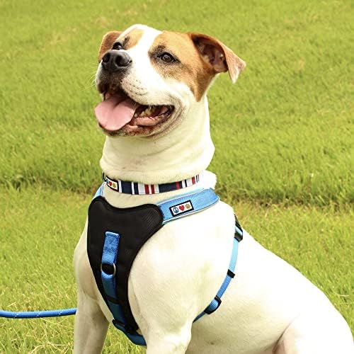 Pawtitas Pet Soft Adjustable Solid Color Nylon Puppy Dog Collar Matching Personalized Customizable Dog Collar Embroidered Customize w Pet Name & Phone Number Medium Teal White Yellow