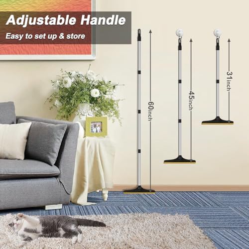 B-Land Carpet Rake for Pet Hair Removal, Reusable Carpet Scraper Broom
