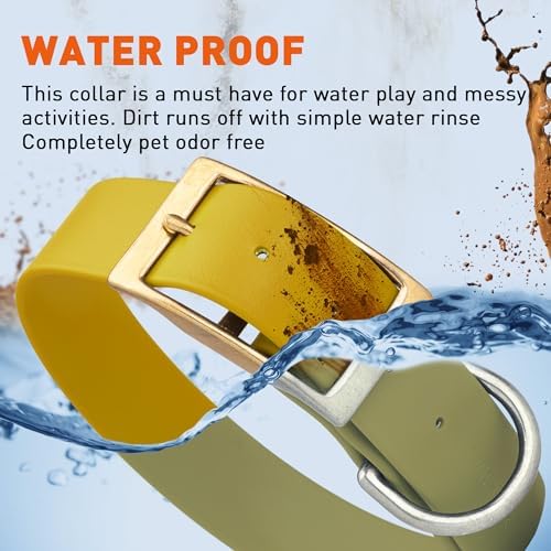 Viper Biothane Heavy Duty Waterproof Dog Collar Strong Coated Nylon Webbing w/Solid Brass Hardware Odor-Proof Easy to Clean High Performance Fits Small Medium or Large Dogs, Treasure Gold