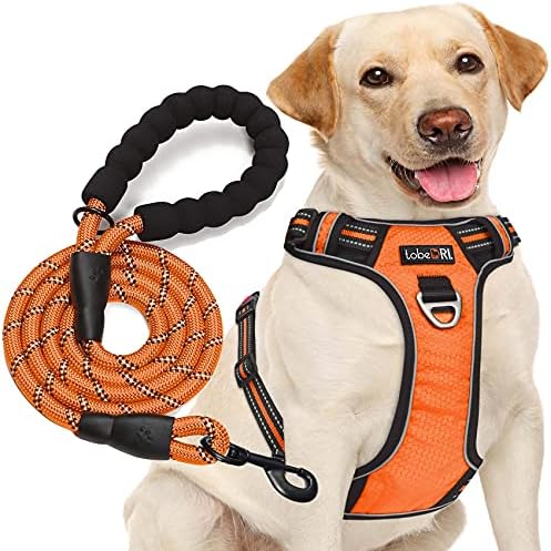 tobeDRI No Pull Dog Harness Adjustable Reflective Oxford Easy Control Medium Large Dog Harness with A Free Heavy Duty 5ft Dog Leash, Orange, XL