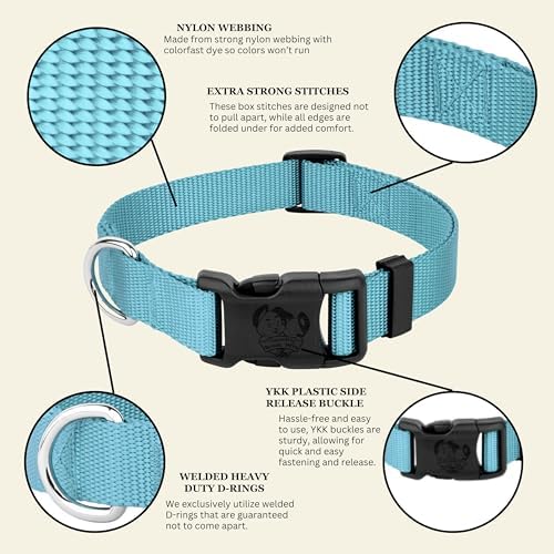 Country Brook Petz - Everyday Nylon Dog Collar for Large, Medium, and Small Dogs and Puppies - for Everyday Use in 30+ Colors (3XS, 3/8 Inch Wide, Ocean Blue)