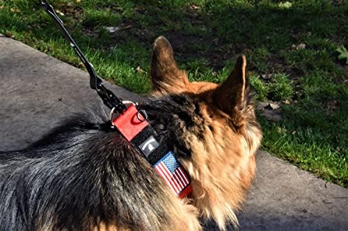 2" Wide Tactical Dog Collar Quick Release Metal Buckle D-Ring M-L-XL Dogs