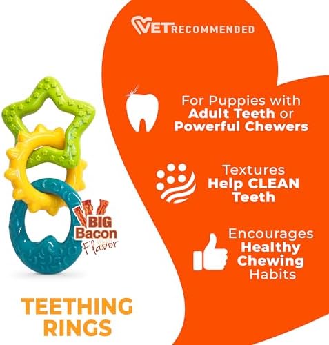 Nylabone Puppy Power Chew Teething Rings Dog Chew Toy, Bacon Flavor, Small
