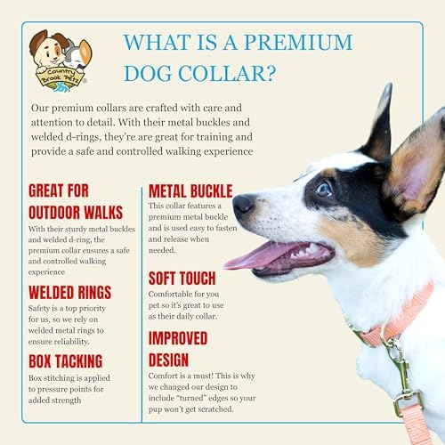 Country Brook Petz - Premium Nylon Dog Collar with Metal Buckle for Small Medium Large Breeds - 30+ Colors (Large, 1 Inch, Coral)