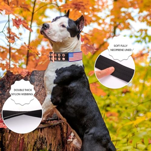 Heavy Duty Dog Collar for Medium Large Dogs,Black,Large