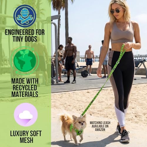 EcoBark Teacup Dog Harness, Luxury Soft Step in Dog Vest, Green, XXXS