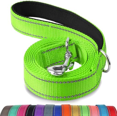 Joytale Reflective Dog Leash for Small Dogs, 4 FT x 3/4", Green