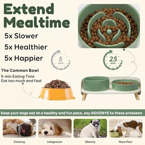 Elevated Slow Feeder Dog Bowls with Splash Proof Stand, Slow Eating 5X