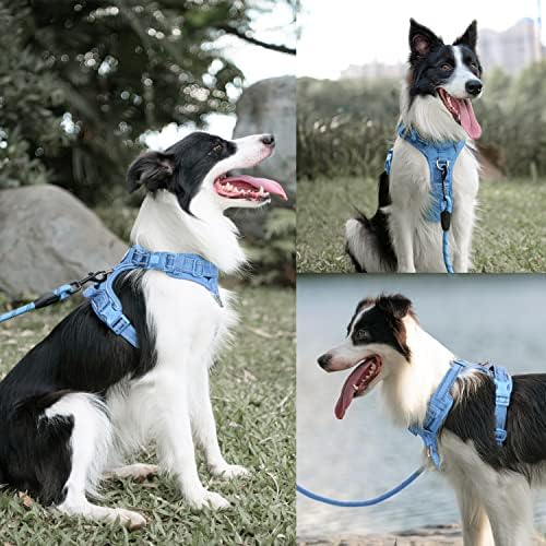 PoyPet Dog Harness and Leash Set, No Pull Vest with Front Clip and Handle