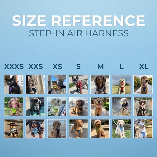 Best Pet Supplies Voyager Step-in Air All Weather Mesh Harness and Reflective Dog 5ft Leash Combo with Neoprene Handle, for Small, Medium and Large Breed Puppies - Lavender, XXS