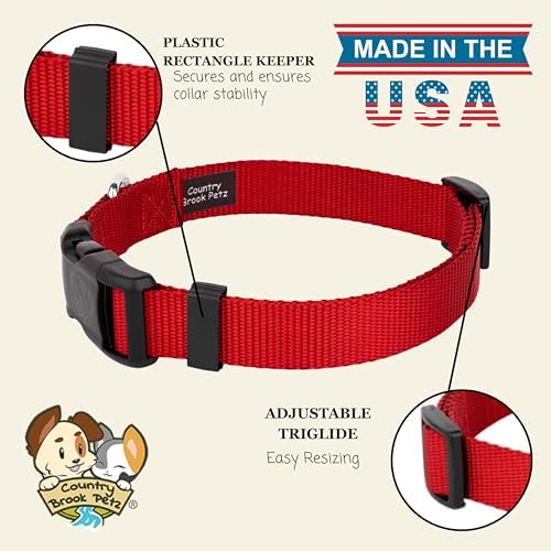 Country Brook Petz - Everyday Nylon Dog Collar for Large, Medium, and Small Dogs and Puppies - for Everyday Use in 30+ Colors (Medium, 3/4 Inch Wide, Red)